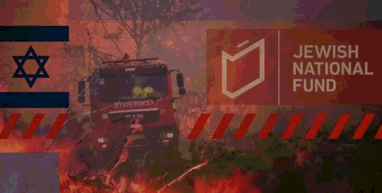 Incendios revelan saqueo sionista de tierras palestinas desde la Nakba