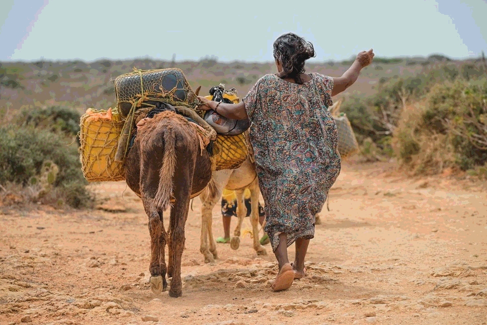 “Zona Norte Extrema” de la Alta Guajira: ¿beneficio o nueva forma de dominación?