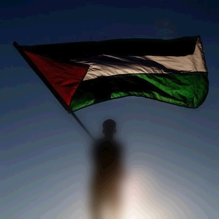 La epopeya Palestina 11: la manipulación de Argentina