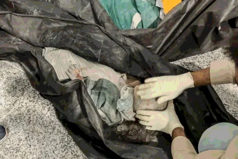 La paz por la fuerza