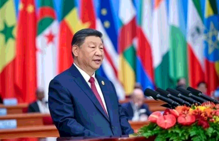 Comercio libre de aranceles entre China y África: ¿Una iniciativa única o un éxito legítimo?